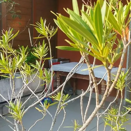 Meraviglioso Super Attico Con Terrazza Apartment